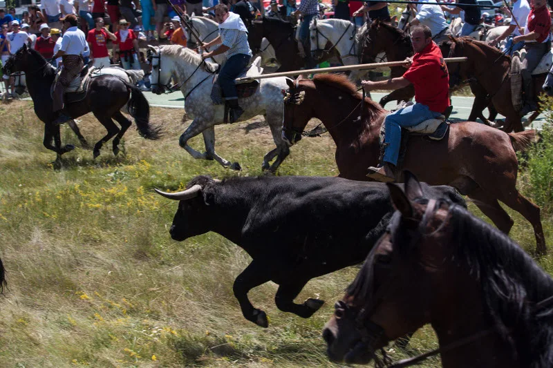 Foto 1 de Fiestas de San Juan Soria 2026: El Jueves de La Saca