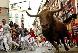 Foto 1 de San Fermín Pamplona 2026: Programa y Encierros