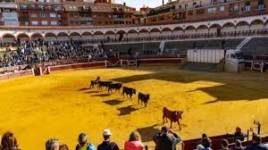 Foto 1 de Viernes de Toros Soria 2026: Pasión en la Plaza de la Chata