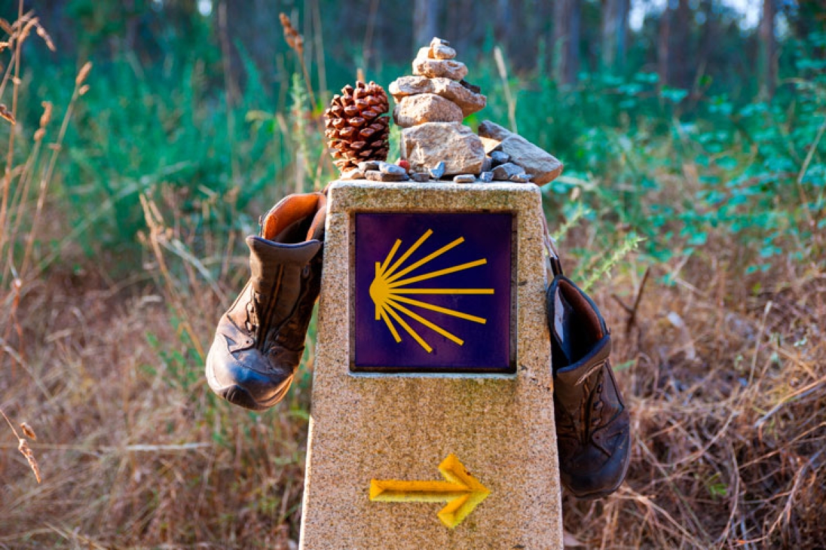 圣地亚哥朝圣者